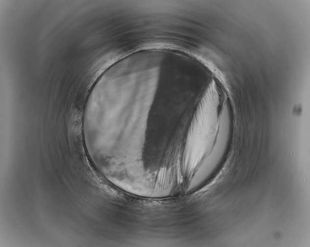 X0000097300945200803141529