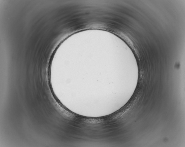X0000097300947200803141529