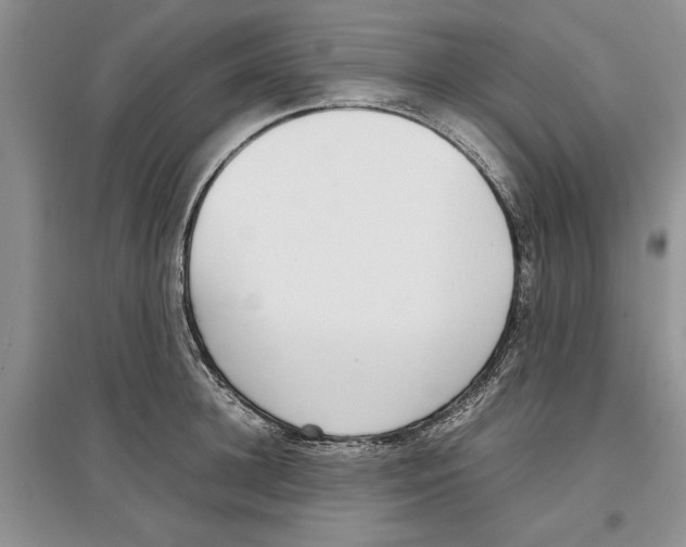 X0000097300948200803141529