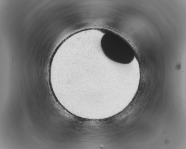 X0000097300950200803141529