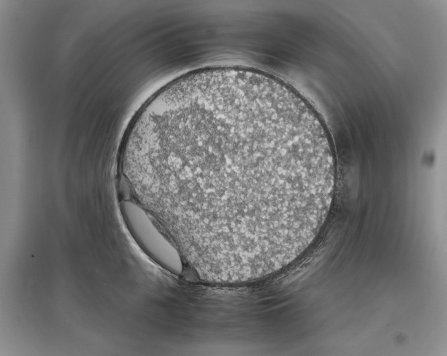 X0000097300951200803141529