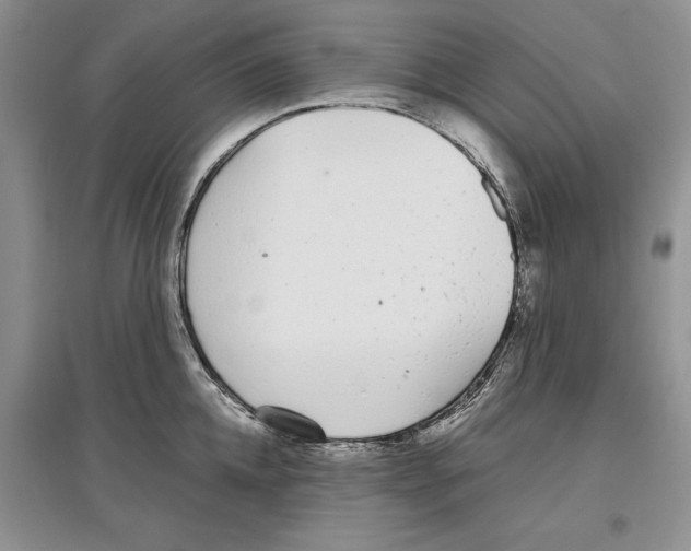 X0000097300952200803141529