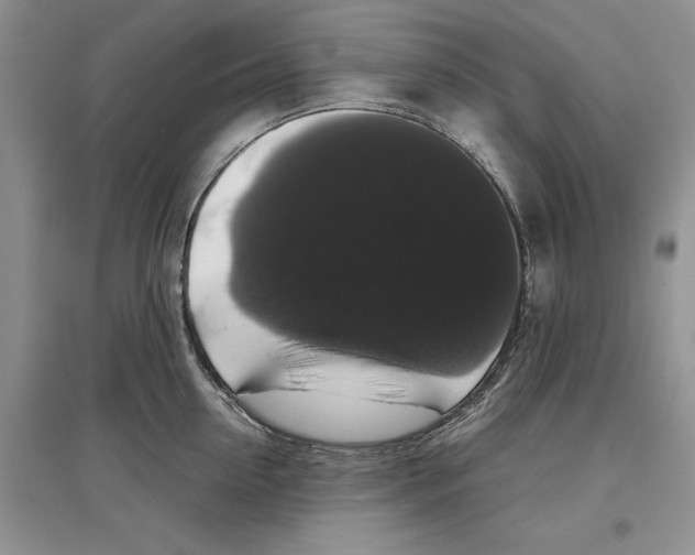 X0000097300954200803141529