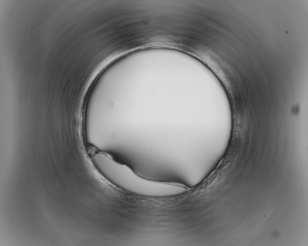 X0000097300955200803141529