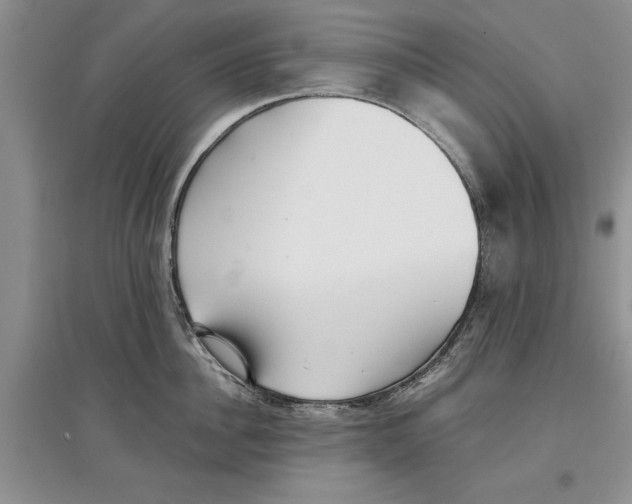 X0000097300956200803141529
