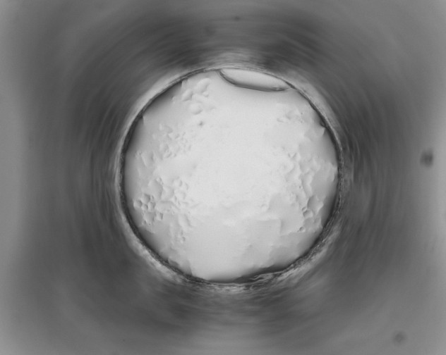X0000097300957200803141529