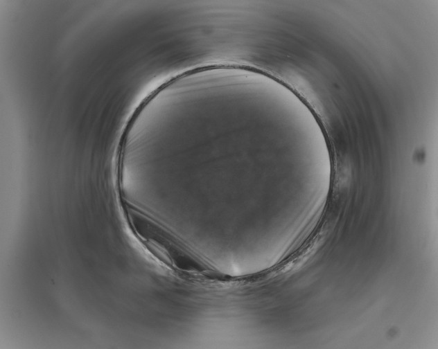 X0000097300958200803141529