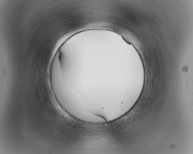 X0000097300960200803141529