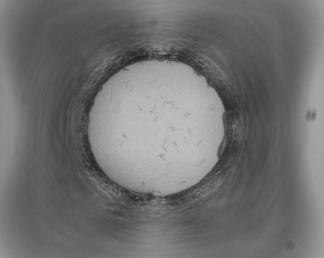 X0000097300961200803141529