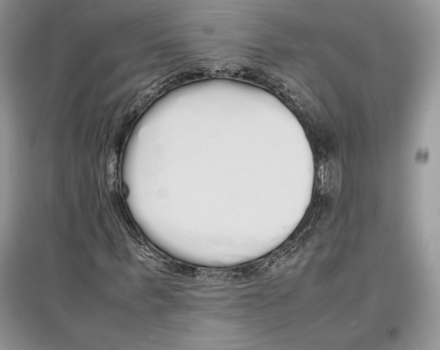 X0000097300963200803141529
