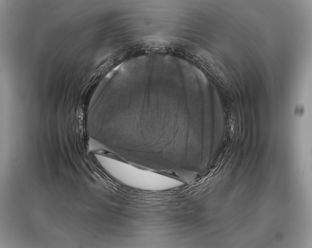 X0000097300964200803141528