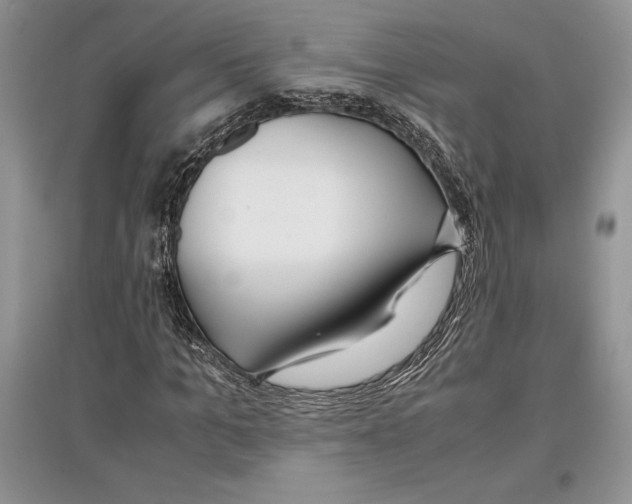 X0000097300965200803141528