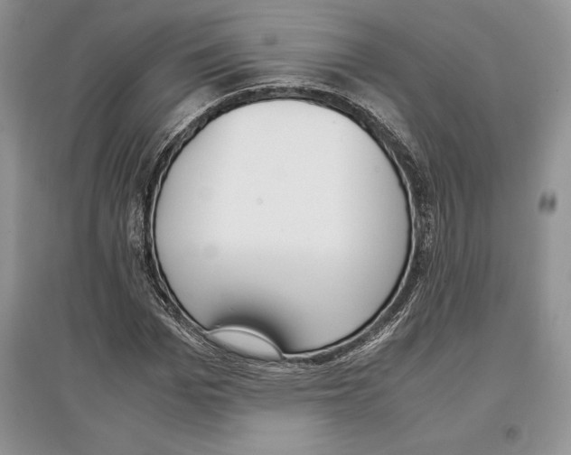 X0000097300969200803141528