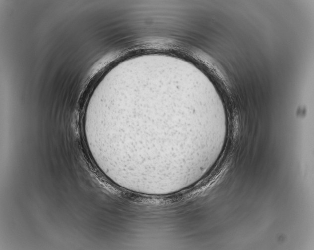 X0000097300970200803141528