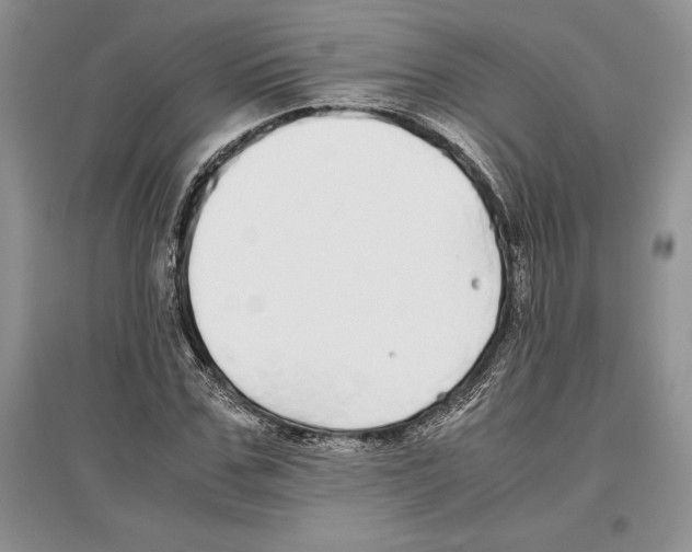 X0000097300971200803141528
