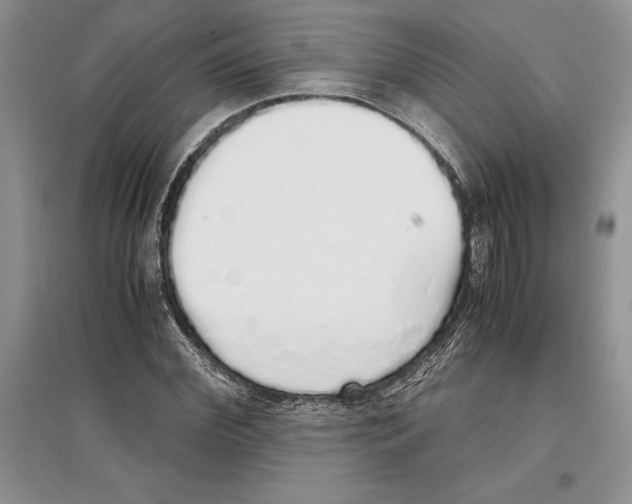 X0000097300972200803141528