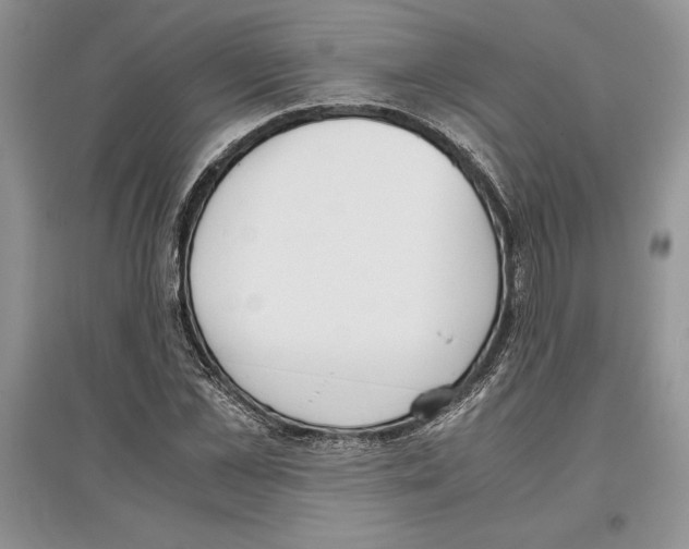 X0000097300973200803141528