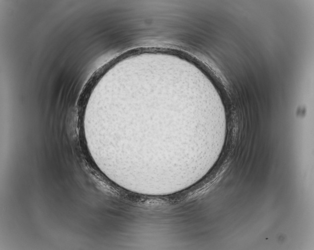X0000097300974200803141528
