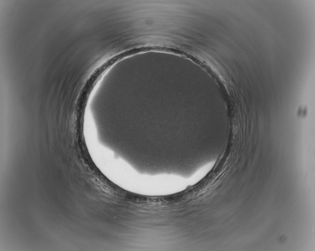 X0000097300975200803141528