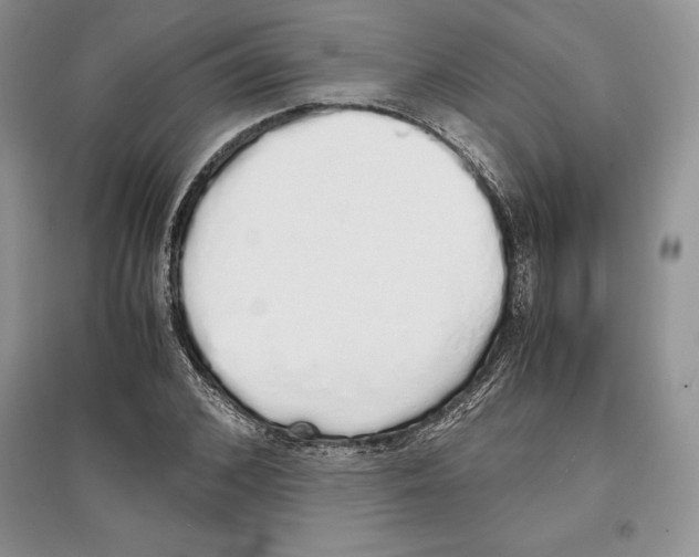 X0000097300976200803141528