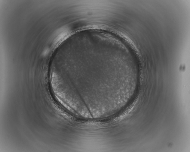 X0000097300977200803141528