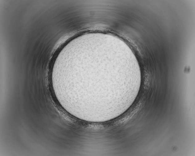 X0000097300978200803141528