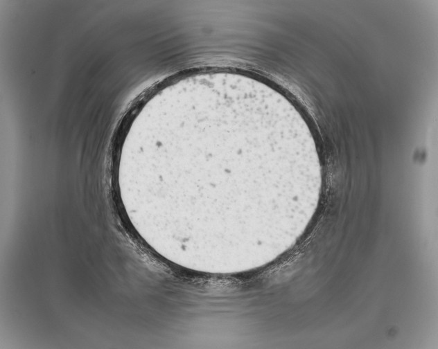 X0000097300979200803141528