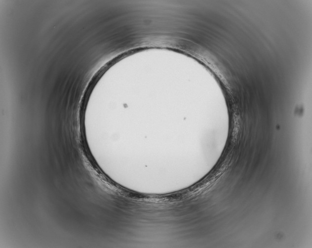X0000097300980200803141528