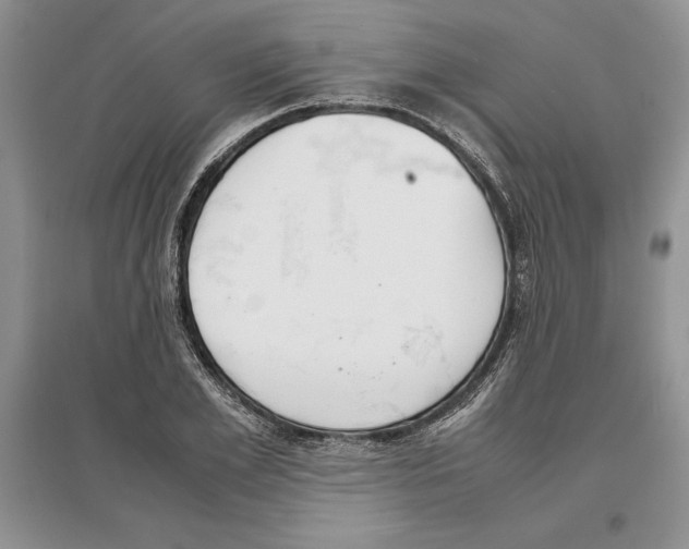 X0000097300981200803141528