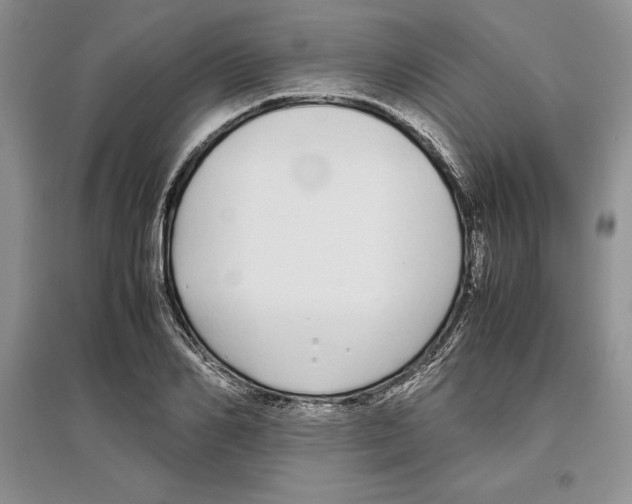 X0000097300982200803141528