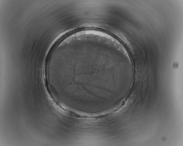 X0000097300984200803141528