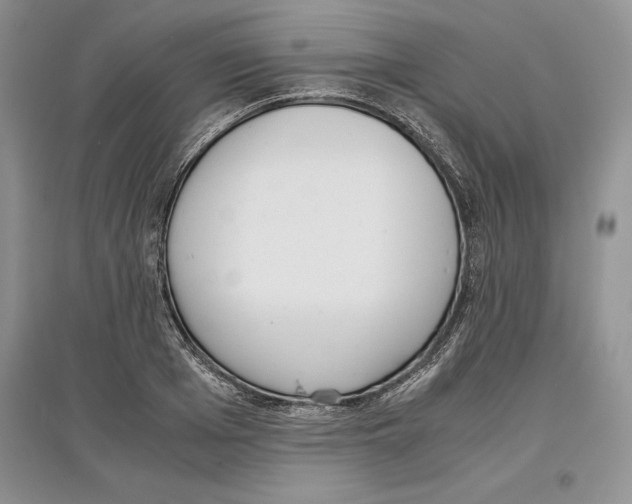 X0000097300985200803141528