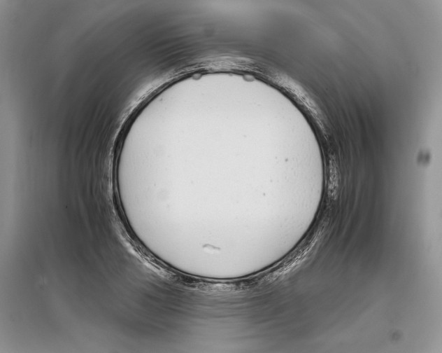 X0000097300986200803141528