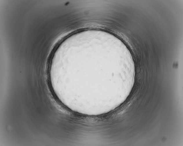 X0000097300987200803141528
