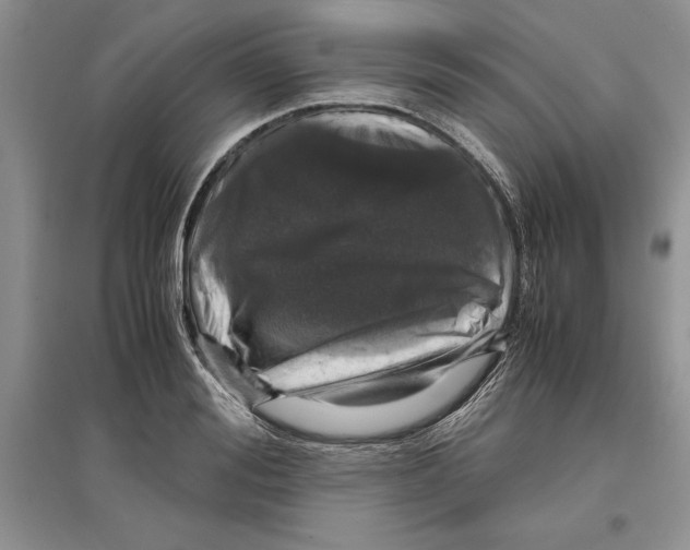 X0000097300988200803141528