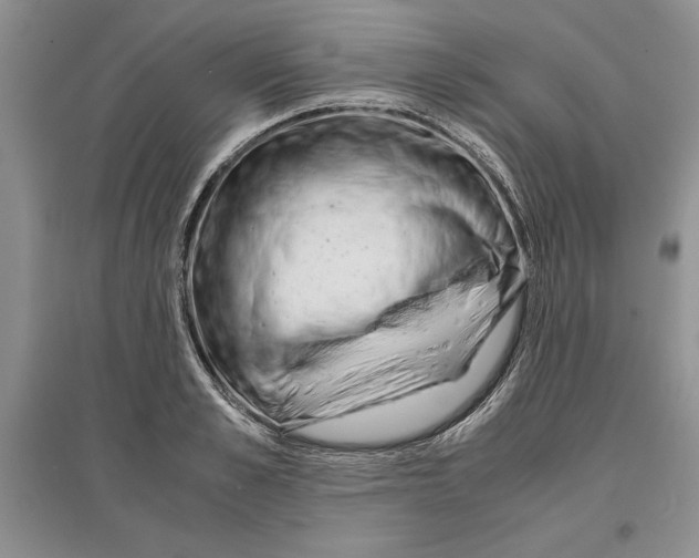 X0000097300989200803141528