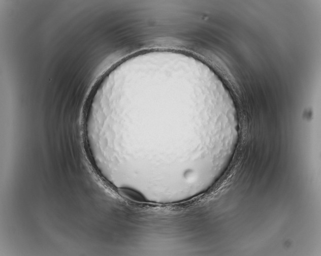 X0000097300990200803141528
