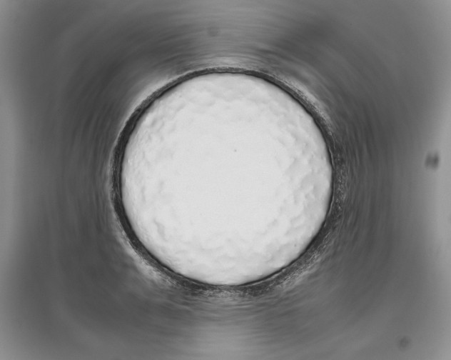 X0000097300991200803141528