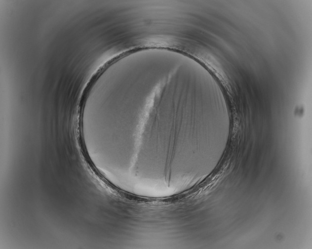 X0000097300992200803141528