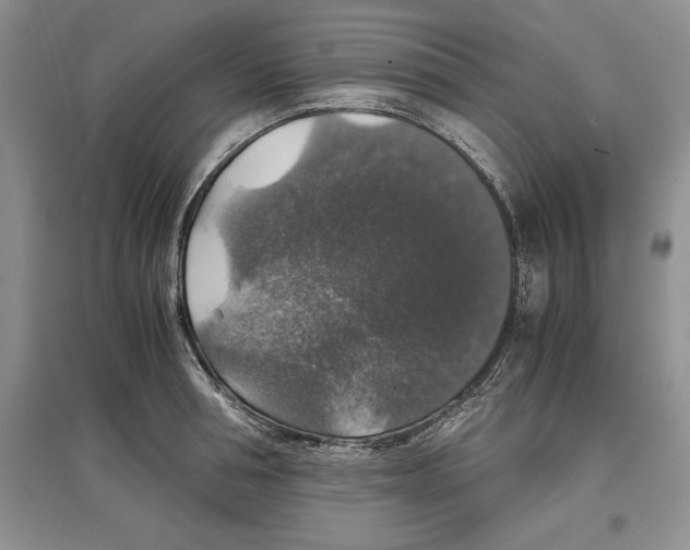 X0000097300994200803141528