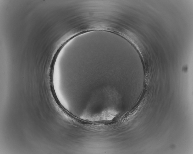X0000097300995200803141528