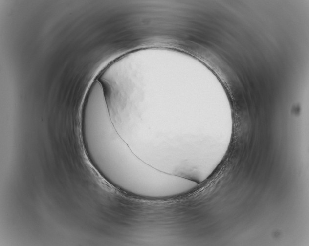 X0000097300996200803141528