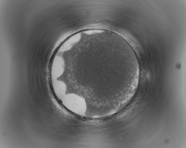 X0000097300998200803141528