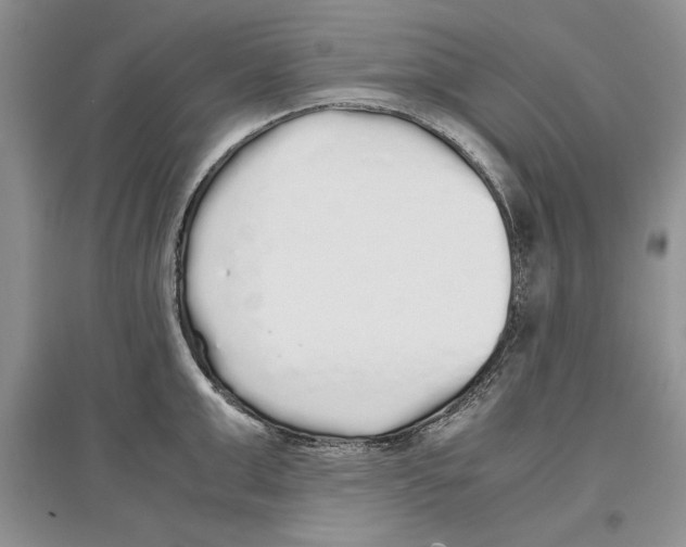 X0000097300999200803141528