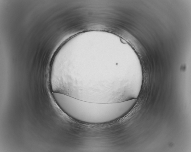 X0000097301000200803141528