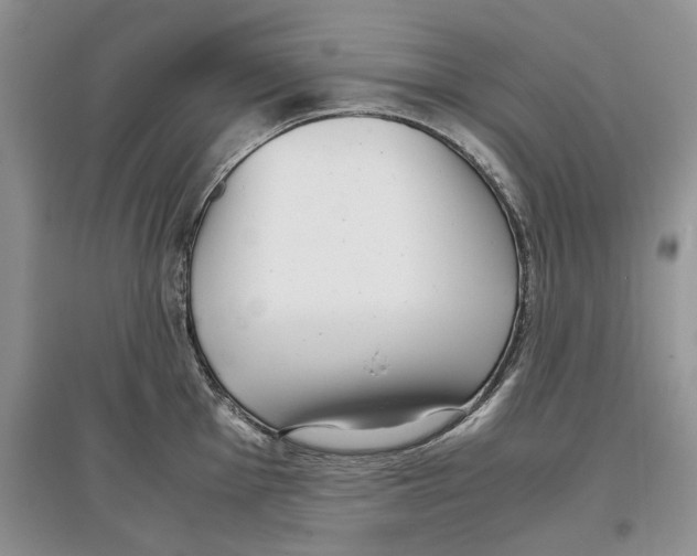 X0000097301001200803141528