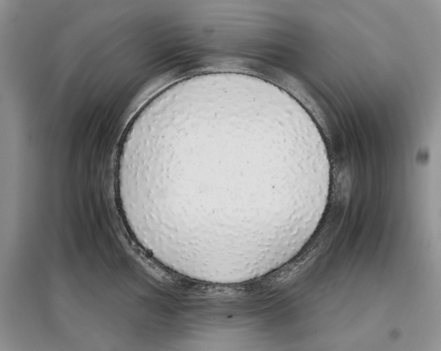 X0000097301002200803141528