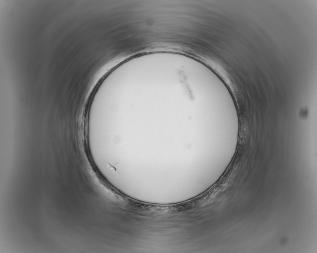 X0000097301003200803141528