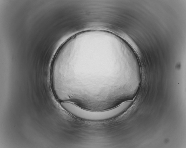 X0000097301004200803141528