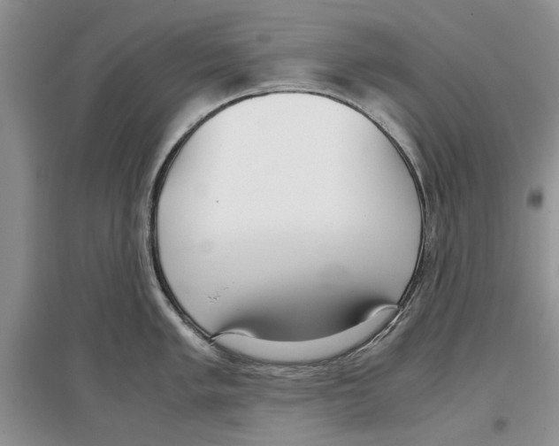 X0000097301005200803141528